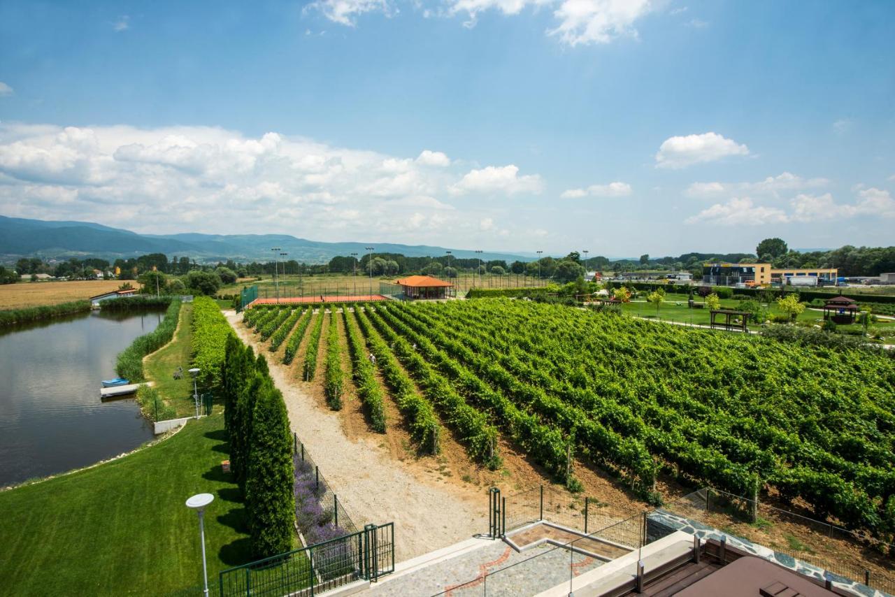 Uva Nestum Wine & Spa Gotse Delchev Buitenkant foto
