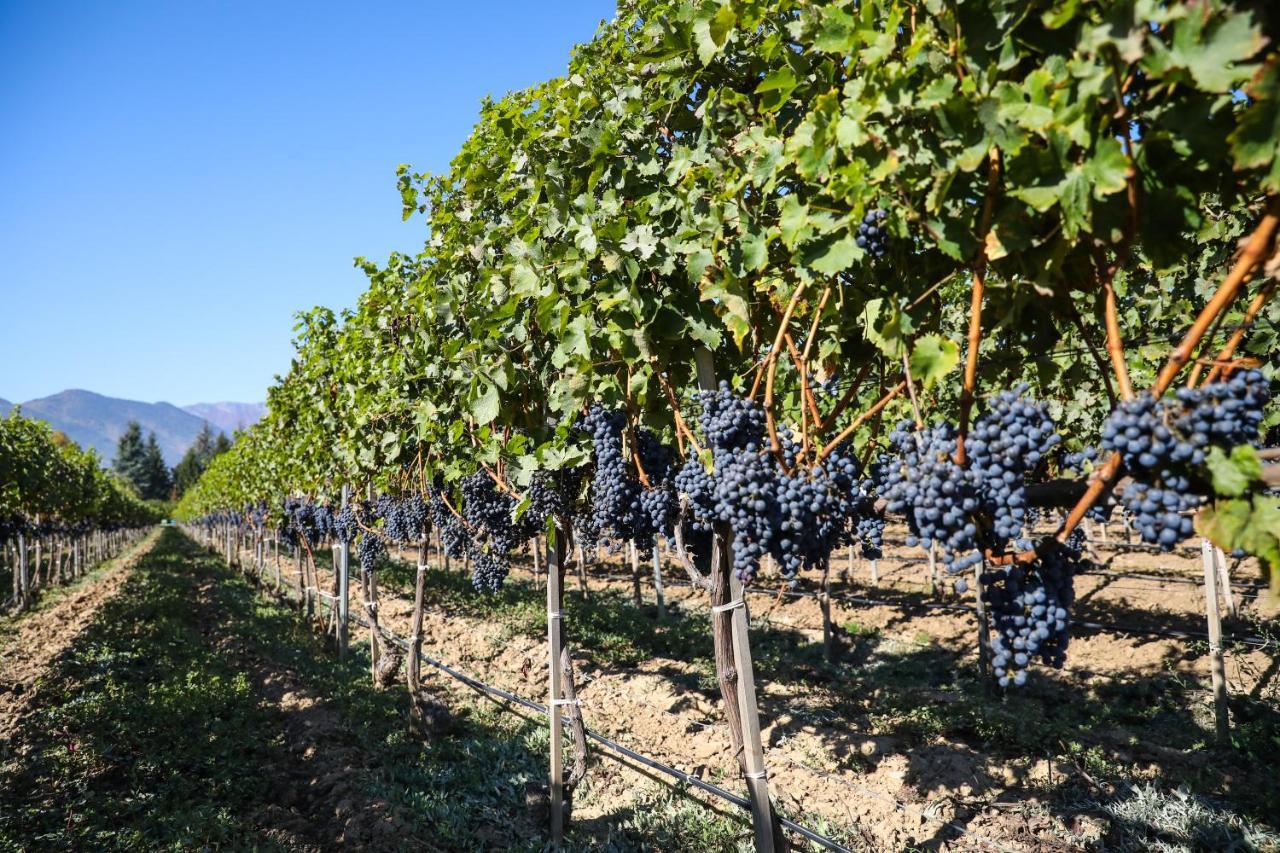Uva Nestum Wine & Spa Gotse Delchev Buitenkant foto